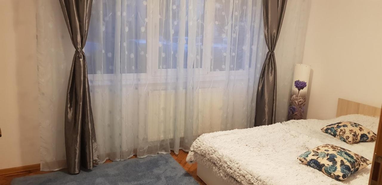 Petuniei Apartment Braşov Esterno foto