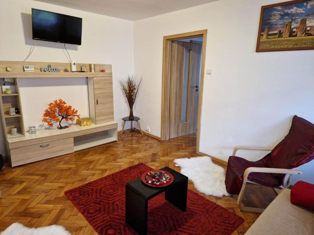 Petuniei Apartment Braşov Esterno foto