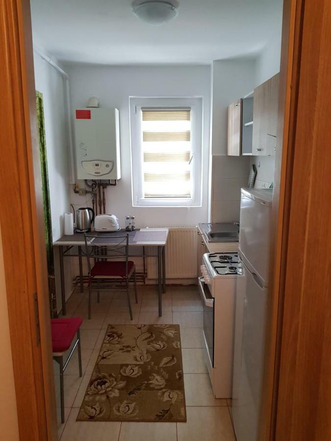 Petuniei Apartment Braşov Esterno foto