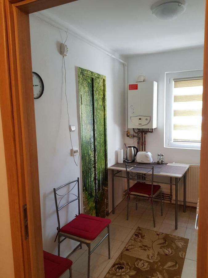 Petuniei Apartment Braşov Esterno foto